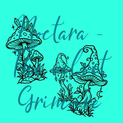 Witchy Pilze – SVG Set | Mystische Pilze | Halloween & Gothic Motive | 