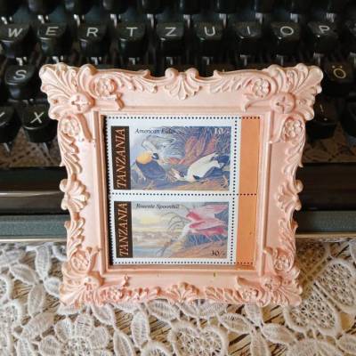 Magnetisches Briefmarken‑Minibild | Tanzania Birds (American Eider & Roseate Spoonbill) | Apricot | Künstlergips‑Unikat