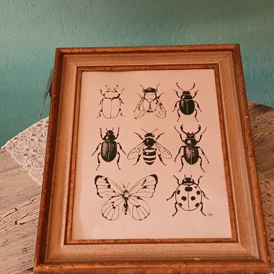 Vintage‑Siebdruck | Insektenstudie | Naturmotiv | Holzrahmen ohne Glas | Unikat