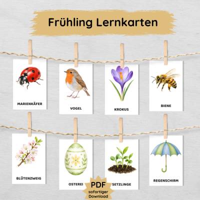 32 Frühlings Lernkarten für Kinder zum Ausdrucken | Bildkarten Frühling