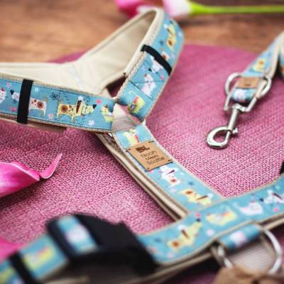 Hundegeschirr Barnaby – hellblaues Hundegeschirr mit liebevoll illustriertem Hundemotiv