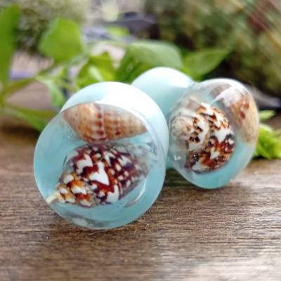 Tunnel plugs 10mm Muscheln sommer