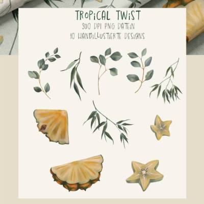 16 farbige Clipart in PNG mit Sternenfrucht, Ananas, Eukalyptus und Bambus Elemente für DIY Projekte