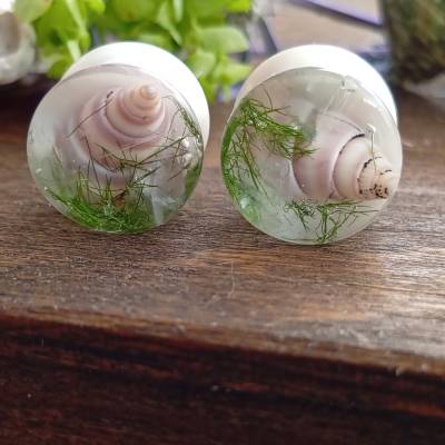 Tunnel plugs 12mm Muscheln sommer