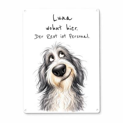 Bearded Collie Dekoschild personalisiert | Aluminium, DIN A4
