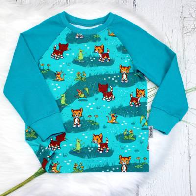 Langarmshirt Pettersson und Findus, Longsleeve, Raglanshirt, Mädchen, Junge, petrol, Gr. 86, 92, 98, 104, 110, 116, 122 
