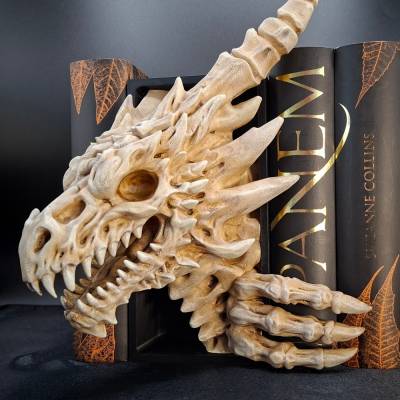 Book Nook - Drachen Skelett 