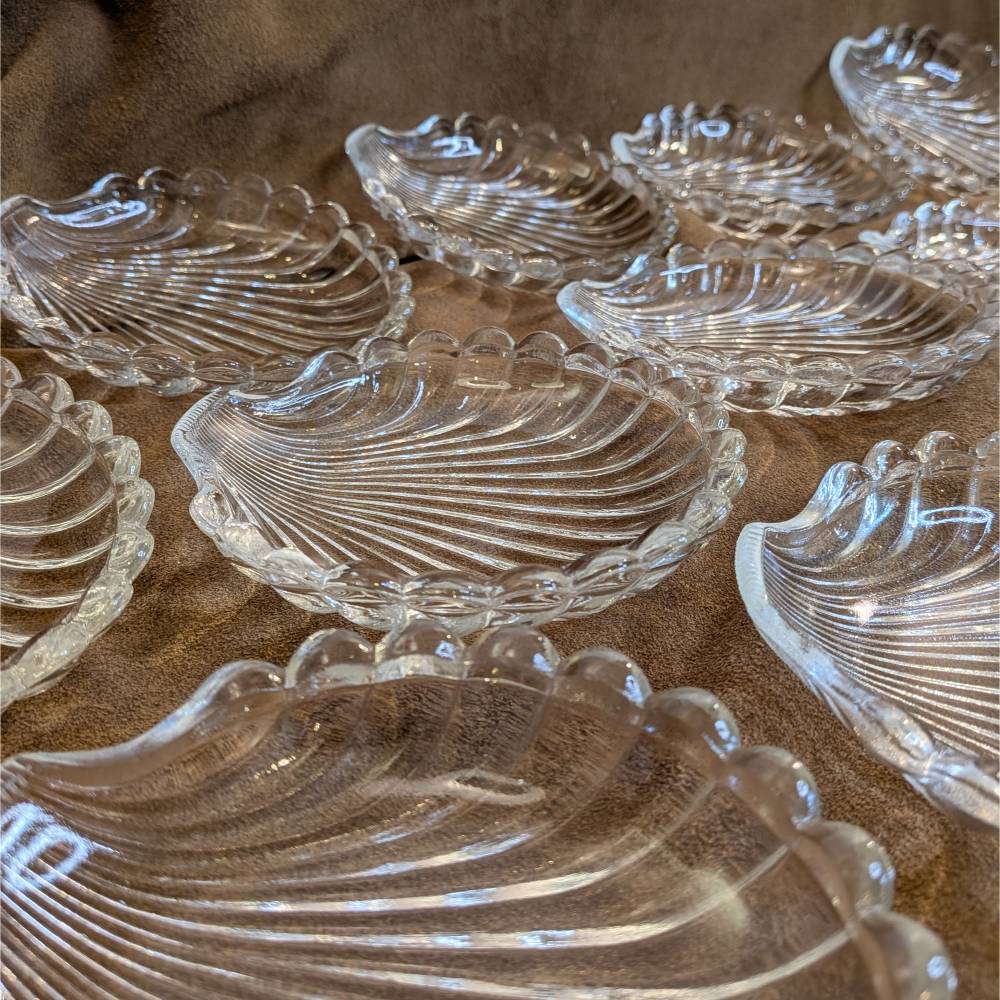 10er Set Glasschälchen in Muschelform maritime Deko & Anbietschalen in zeitloser Form einer Jakobsmuschel kleine Beilage