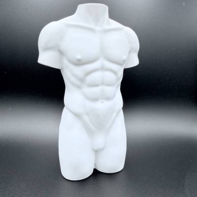 Kunst Männer Torso Skulptur Weiß 18 cm 3D Druck Figur Deko Geschenk