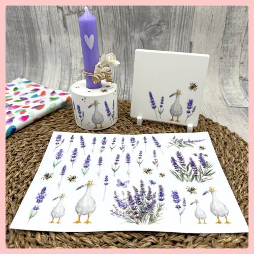 Rub On Blumen, LAVENDEL, A5, bunt/farbig, Rubon, Rub Ons Lavendel, Rub Ons Blumen, Sommer, Frühling, Rub Ons Gans Rub On