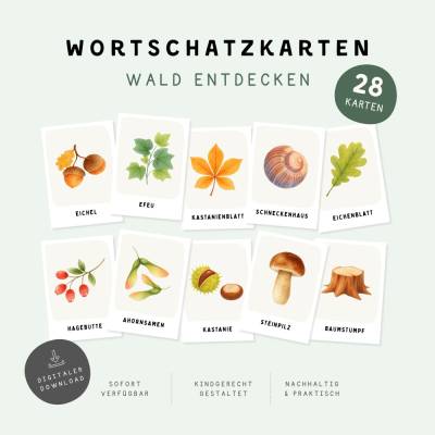 Wald Lernkarten für Kinder | 28 Naturkarten | Pflanzen & Pilze | Wortschatz & Naturwissen | Kita & Kindergarten 