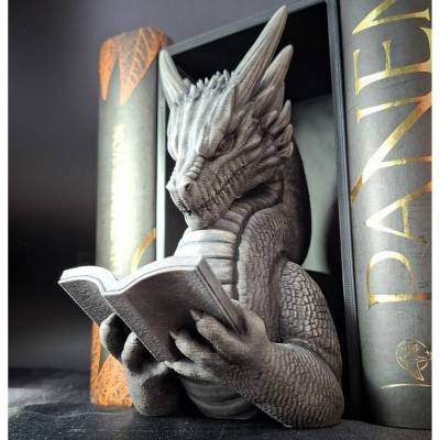 Book Nook - Steinerner Drache