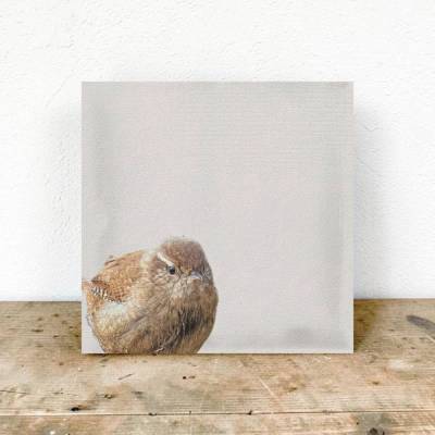 SINGVÖGEL Zaunkönig, Wandbild auf Holz, Leinwandbild oder Kunstdruck Poster. Geschenk Wandkunst Vögel im VintageStyle 