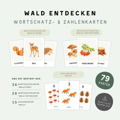 Wald Lernkarten Bundle für Kinder | 79 Karten | Waldtiere Wald entdecken & Zahlen 1–15 | Wortschatzkarten & Zahlenkarten