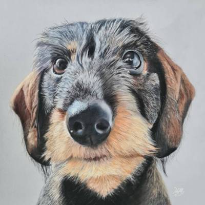 Individuelles Haustierportrait nach Foto 20x30 - Pastellzeichnung
