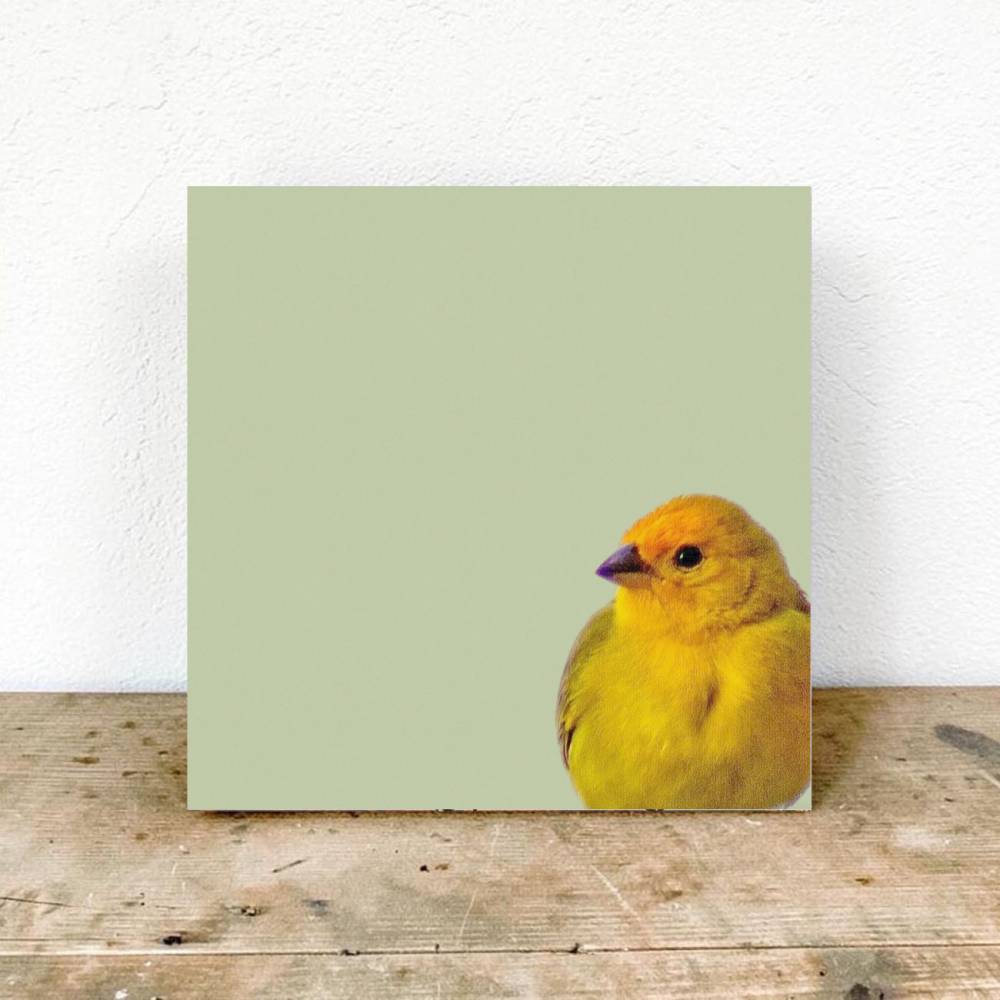 SINGVÖGEL, Wandbild auf Holz, Leinwandbild oder Kunstdruck Poster. Geschenk Wandkunst Vogel in gelb im Vintage Style Bild 1
