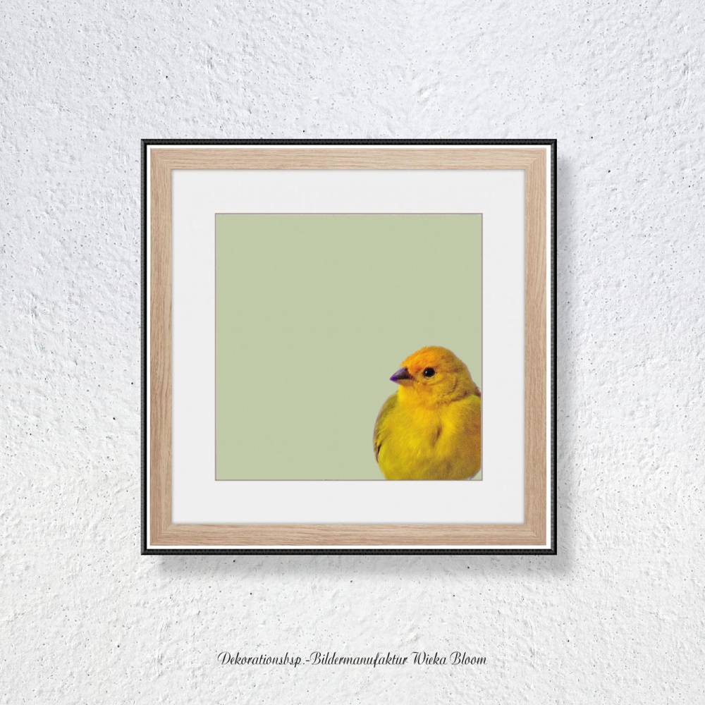 SINGVÖGEL, Wandbild auf Holz, Leinwandbild oder Kunstdruck Poster. Geschenk Wandkunst Vogel in gelb im Vintage Style Bild 4