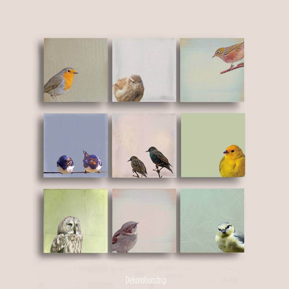 SINGVÖGEL, Wandbild auf Holz, Leinwandbild oder Kunstdruck Poster. Geschenk Wandkunst Vogel in gelb im Vintage Style Bild 5