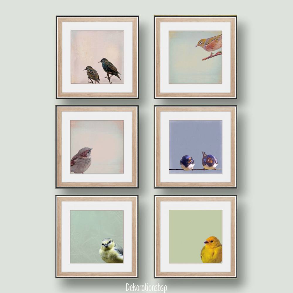 SINGVÖGEL, Wandbild auf Holz, Leinwandbild oder Kunstdruck Poster. Geschenk Wandkunst Vogel in gelb im Vintage Style Bild 6