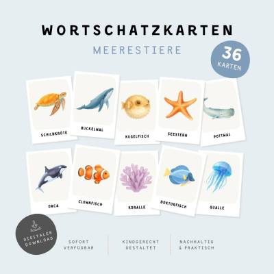 Meerestiere Lernkarten für Kinder | 36 Karten | Ocean Animals | Vorschule & Kindergarten | Tierwissen & Natur 