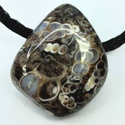 Schneckenachat Anhänger - 30 mm x 20mm – Echter Turitella Achat Fossilien Edelstein Unikat