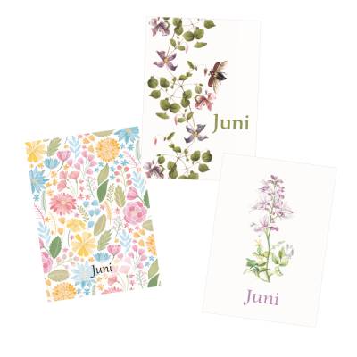 Monatskarten Juni * Set mit 3 Postkarten Liliput, Das Gesumms, Blumenwiese