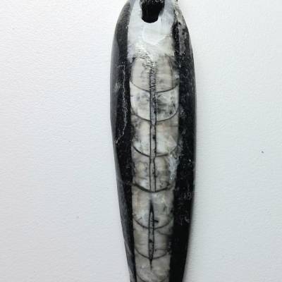 Orthoceras Fossilienanhänger | Fossil Schmuck | Fossil Anhänger | Urzeit Schmuck | Fossilienschmuck |