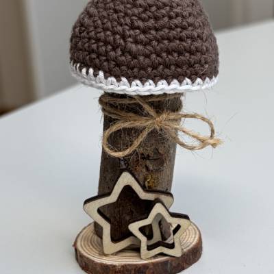 Handgefertigter Deko-Pilz mit gehäkelter Kappe | Pilz Deko | Herbstdeko | Naturdeko | Geschenkidee