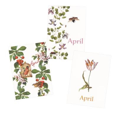 Monatskarten April * Set mit 3 Postkarten Apfelblüten & Kirschen, Das Gesumms, Liliput
