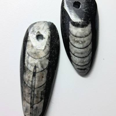2er Set Orthoceras Fossilienanhänger | Fossilschmuck aus echter Naturgeschichte