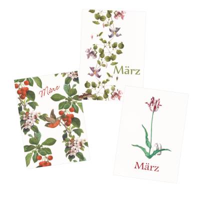 Monatskarten März * Set mit 3 Postkarten Apfelblüten & Kirschen, Das Gesumms, Liliput