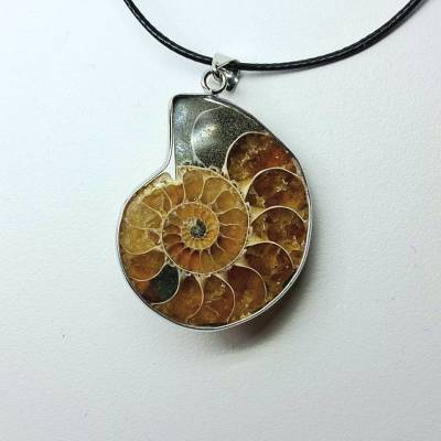 Ammonitenanhänger | Echter Ammonit Fossil Schmuck | Fossilien Anhänger | Ammonite Pendant | Urzeit Schmuck | Geschenk