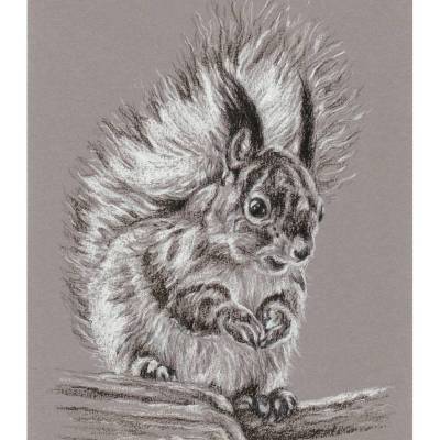 Handgezeichnete Tiere / Tierportraits in s/w nach Foto