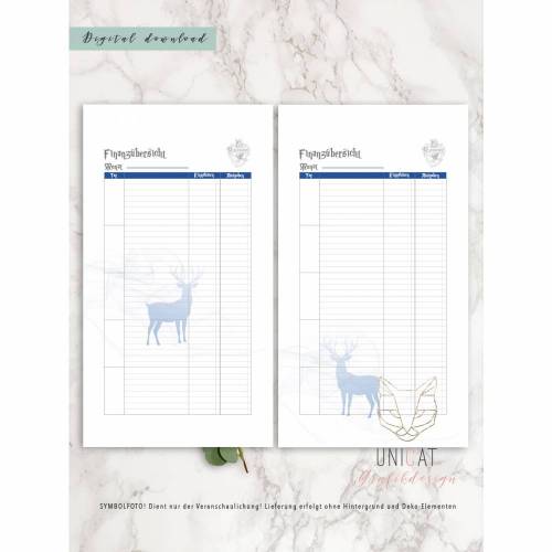 Finanzplan für Ringbuchkalender pocket HP-Style