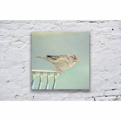 Vogel Print, herziges Geschenk für das "Spatzl" an deiner Seite, Fine Art Print 13 x 13 cm + 20 x 20 cm