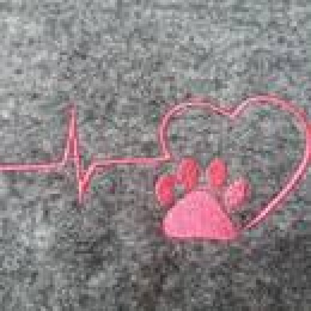 Stickdatei Hund Pfote Herz Herzlinie – Maschinenstickerei für Heimtierausweis, Kissen & Halstuch Bild 3