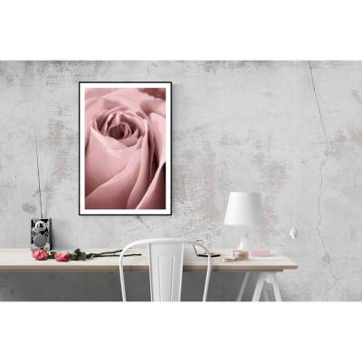 Rose in Altrosa, Botanisches Poster einer Blume in Nahaufnahme, Makrofotografie einer Blüte, Wandbild Größe 45 x 30 cm