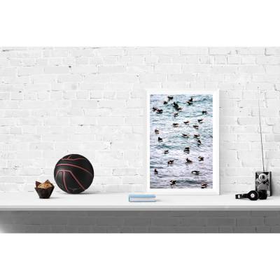 Puffins, Papageientaucher oder Lundis, Vögel im Meer, eine originelle Dekoration für das Kinderzimmer, Poster 30 x 45 cm