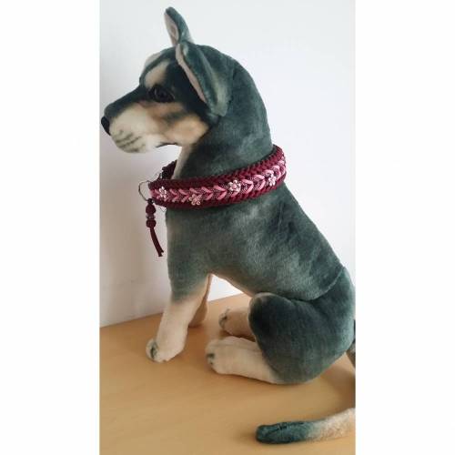 Tolles Hunde-Halsband aus dem Hause Knotenwerke Paracord