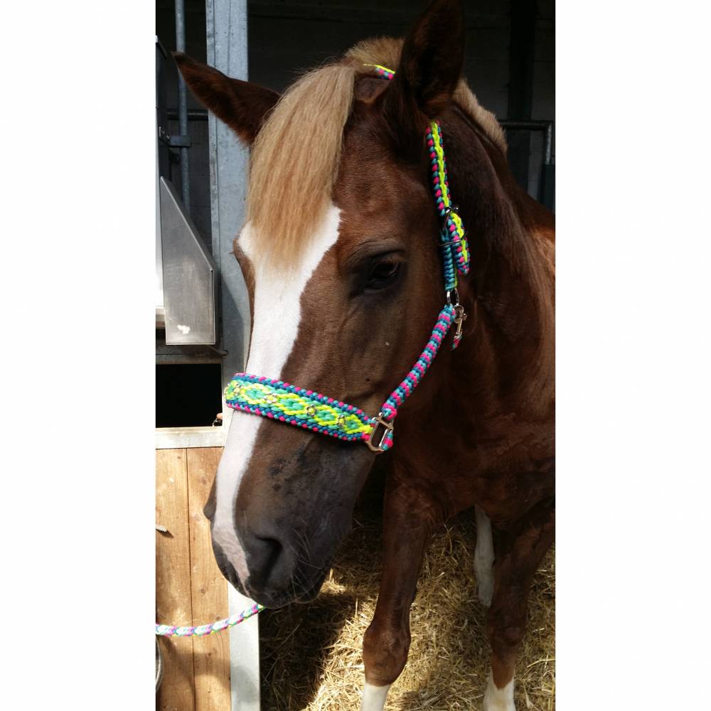 Tolles Pferde Halfter Gre Warmblut aus dem Hause Knotenwerke Paracord