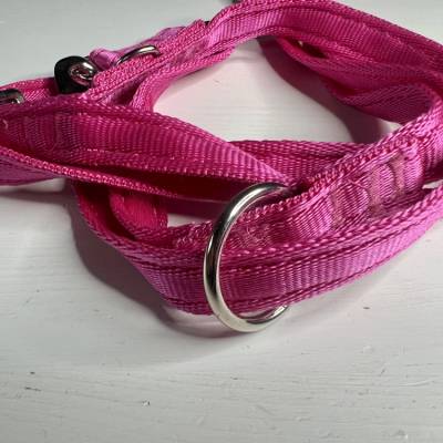 Gepolsterte Hundeleine - 2 Meter - pink