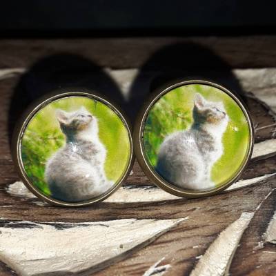 kleine Katze Ohrringe Ring Cabochonschmuck verschiedene Fassungen