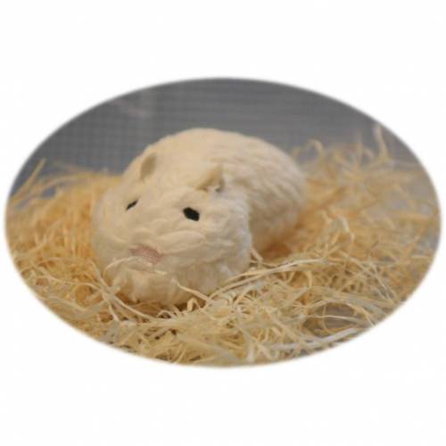 ITH Hamsti In the Hoop Hamster Stickdatei 13x18