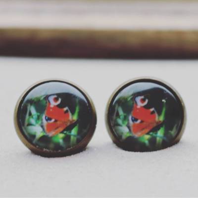 Schmetterling Ohrringe Ring Cabochonschmuck verschiedene Fassungen eigenes Foto
