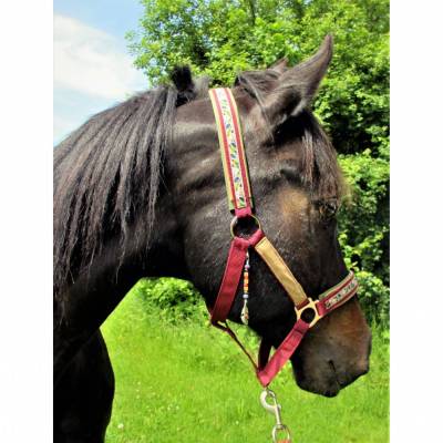 Pferdehalfter "Kleine Feder" Halfter Western Pferd Shetty Pony Vollblut Warmblut