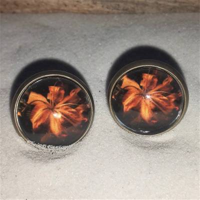 Hibiskus orange Ohrringe u Ringe Cabochonschmuck verschiedene Fassungen