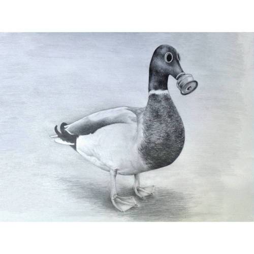 Postkarte „Endzeit Ente“ | Künstlerpostkarte