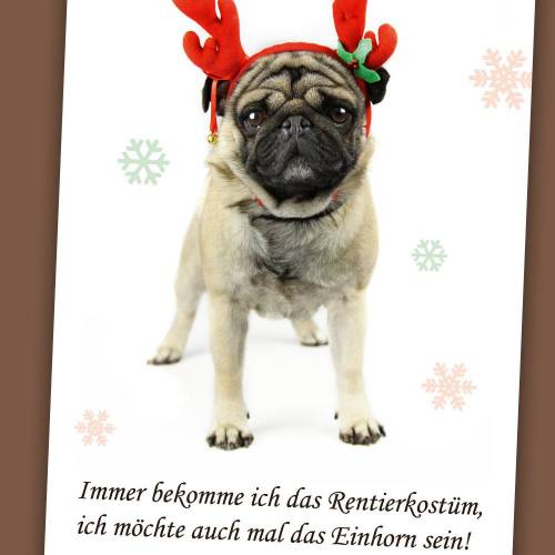 3 Postkarten „Weihnachtsmops“ 