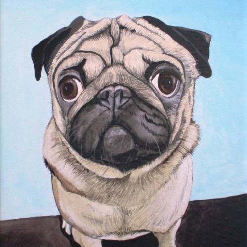 "Mops OSKAR" Leinwandbild 30 x 20 cm