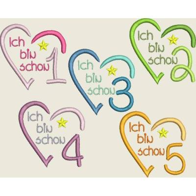 Stickdatei Zahl „Ich bin schon … ab 13x18 Rahmen – Maschinenstickerei Geburtstag – Set 572